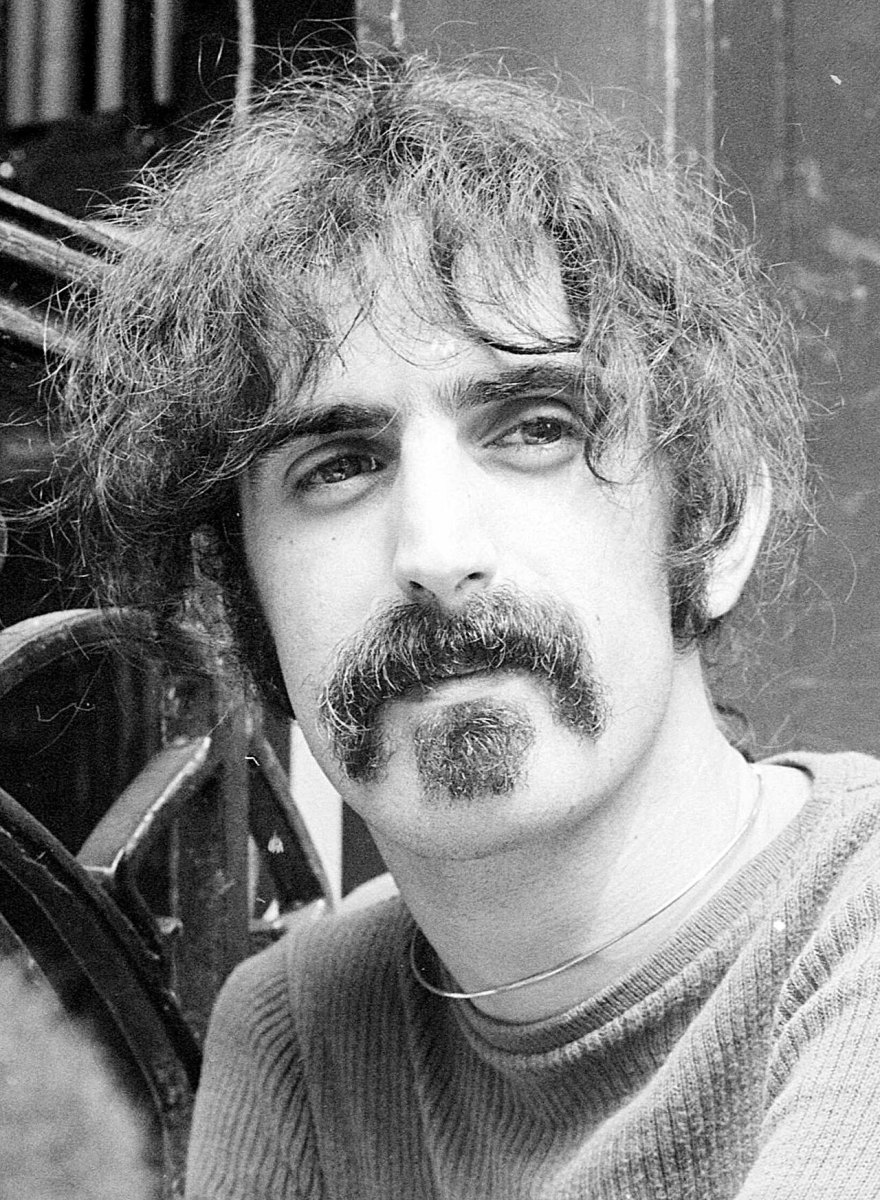 Frank Zappa mustache