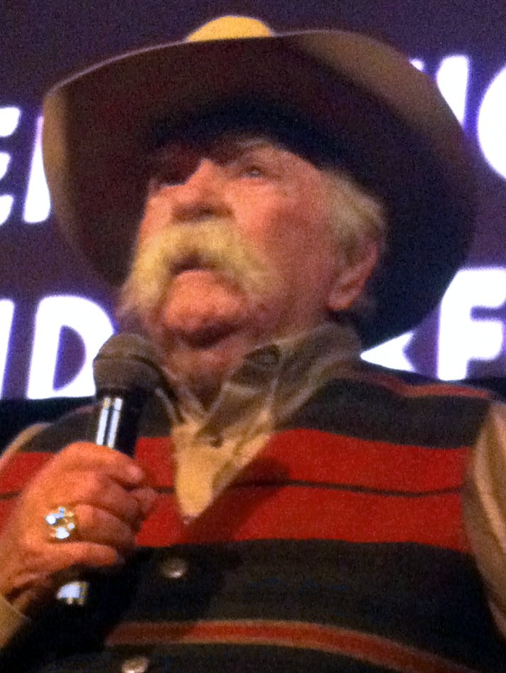 Wilford Brimley mustache